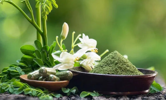 Moong Bean for Skin: The Traditional Indian Cleansing Ingredient Worth Rediscovering